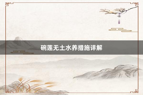 碗莲无土水养措施详解